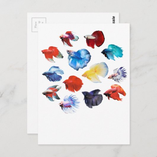 Betta 2 postkarte (Vorne/Hinten)