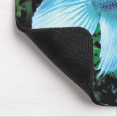 betta,cobalt blue mousepad (Ecke)