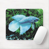 betta,cobalt blue mousepad (Mit Mouse)