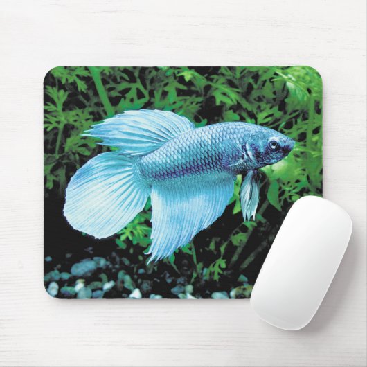 betta,cobalt blue mousepad (Mit Mouse)