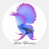 Betta Fighting Fish Sticker (Vorderseite)