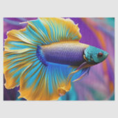 Betta Fisch, blaues Gold lila Seidenpapier (Vorderseite)