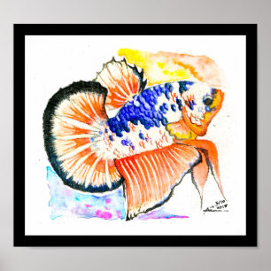 Betta Fisch-extravagantes Poster