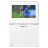 Betta Fisch-Kalender 2013 Kalender (Feb 2027)