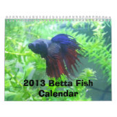 Betta Fisch-Kalender 2013 Kalender (Titelbild)