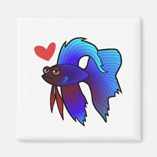 Betta Fisch / Siamische Liebe zur Bekämpfung von F Magnet (Vorne)
