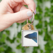 Betta Fische oder männliche blaue siamesische Schlüsselanhänger (Hand)