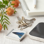 Betta Fische oder männliche blaue siamesische Schlüsselanhänger (Seite)