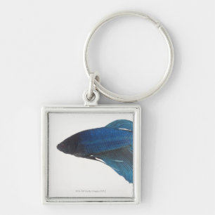 Betta Fische oder männliche blaue siamesische Schlüsselanhänger
