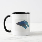 Betta Fische oder männliche blaue siamesische Tasse (Links)
