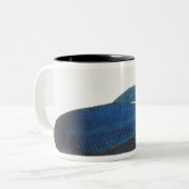 Betta Fische oder männliche blaue siamesische Zweifarbige Tasse (Vorderseite Links)
