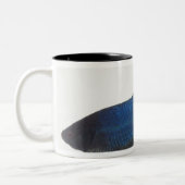 Betta Fische oder männliche blaue siamesische Zweifarbige Tasse (Links)