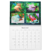Betta Fischkalender 2009 Kalender (Mär 2027)