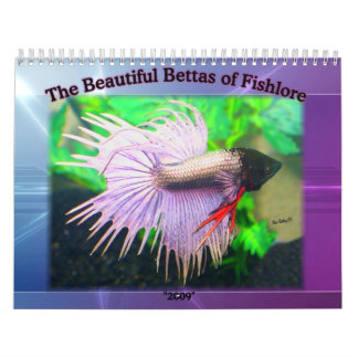 Betta Fischkalender 2009 Kalender