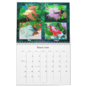 Betta Fischkalender 2009 Kalender (Mär 2026)