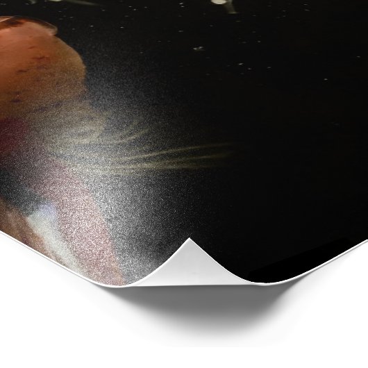 Betta Fish Babies Fotodruck (Ecke)