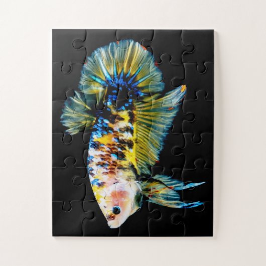 Betta Fish Blue & Gold Puzzle (Vertikal)