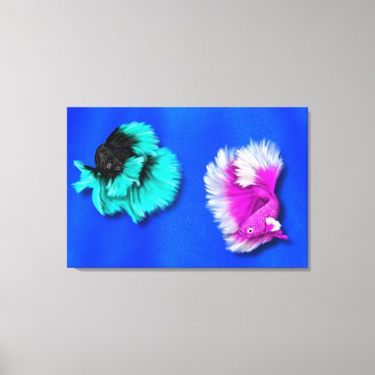 Betta Fish Duo, schwarz & aquamarin, weiß und rosa Leinwanddruck (Vorderseite)