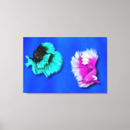 Betta Fish Duo, schwarz & aquamarin, weiß und rosa Leinwanddruck