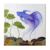Betta Fish Fliese (Vorderseite)