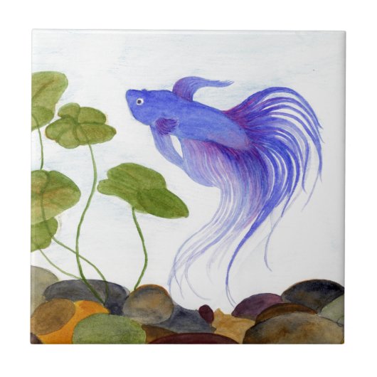 Betta Fish Fliese (Vorderseite)