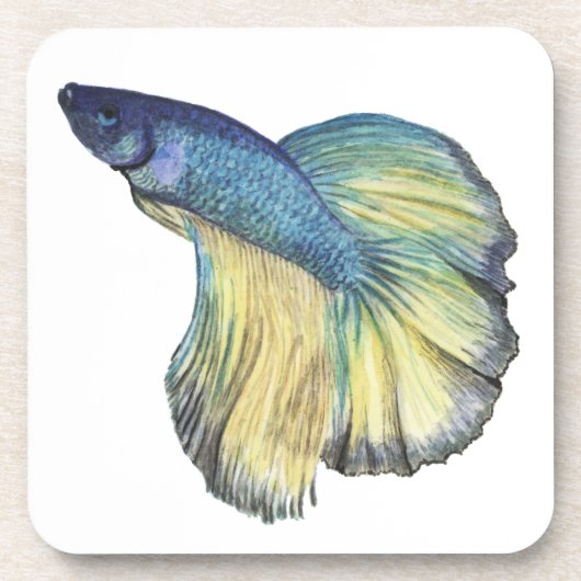Betta Fish Getränkeuntersetzer (Vorderseite)
