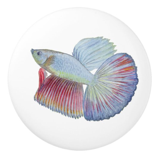 Betta Fish Keramik Knob Keramikknauf (Vorderseite)
