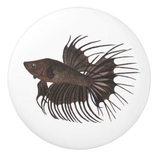 Betta Fish Keramik Knob Keramikknauf