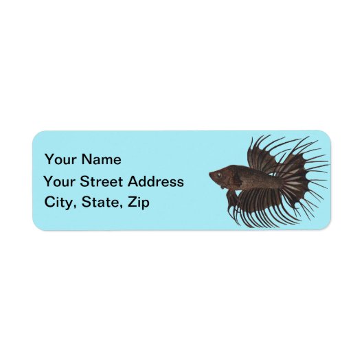 Betta Fish Label (Vorne)