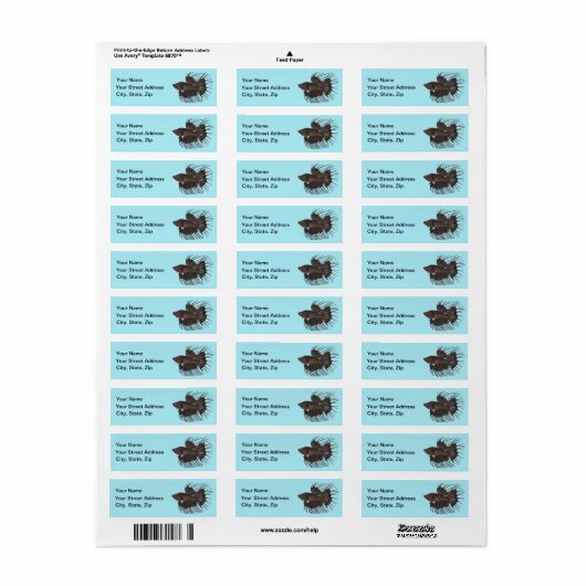 Betta Fish Label (Vorne)