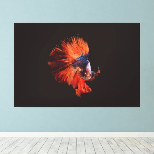 Betta Fish Leinwanddruck (Insitu (Holzboden))