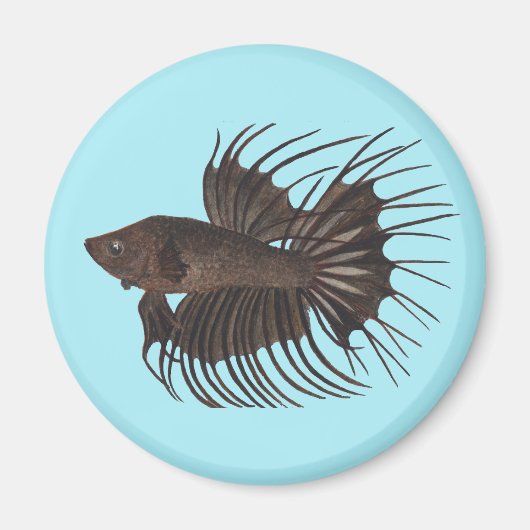 Betta Fish Magnet (Vorne)