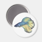 Betta Fish Magnet (Vorderseite/Rückseite)