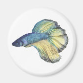 Betta Fish Magnet (Vorne)