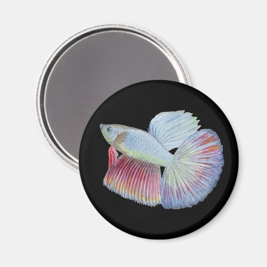 Betta Fish Magnet (Vorderseite/Rückseite)