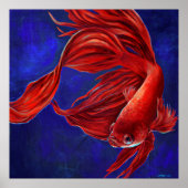 Betta Fish Painting Print Poster (Vorne)