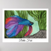 Betta Fish Poster (Vorne)