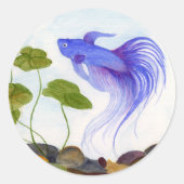 Betta Fish Runder Aufkleber (Vorderseite)