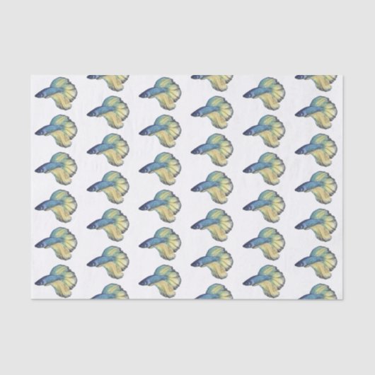 Betta Fish Seidenpapier (Vorderseite)
