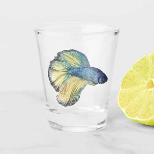 Betta Fish Shot Glass Schnapsglas (Vorderseite)