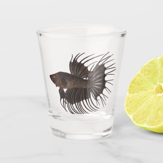 Betta Fish Shot Glass Schnapsglas (Vorderseite)