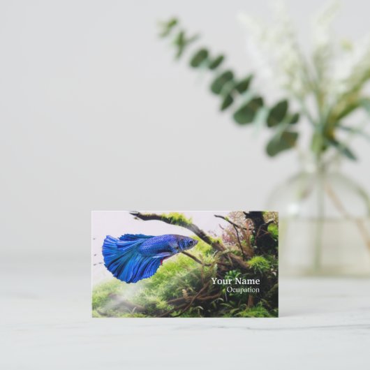 Betta Fish Visitenkarte (Stehend Vorderseite)