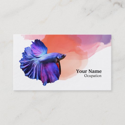 Betta Fish Visitenkarte (Vorderseite)