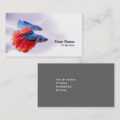 Betta Fish Visitenkarte (Vorne/Hinten)