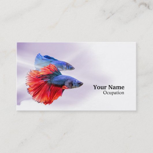 Betta Fish Visitenkarte (Vorderseite)