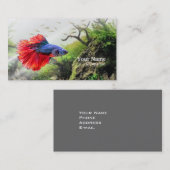 Betta Fish Visitenkarte (Vorne/Hinten)