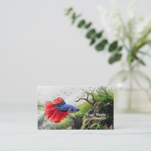 Betta Fish Visitenkarte (Stehend Vorderseite)