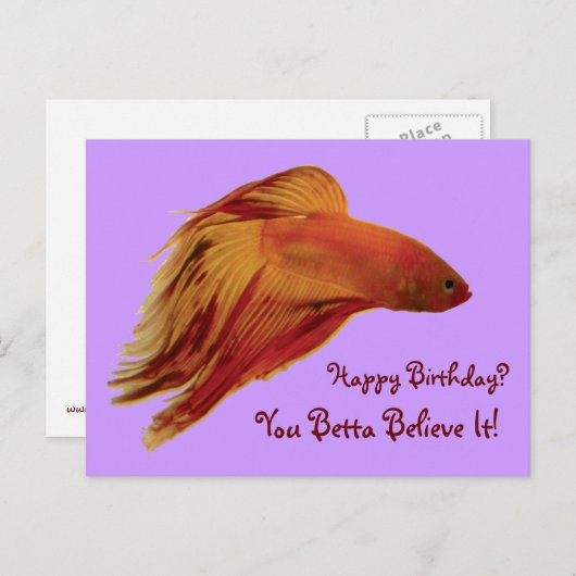 Betta - Geburtspostkarte Postkarte (Vorne/Hinten)