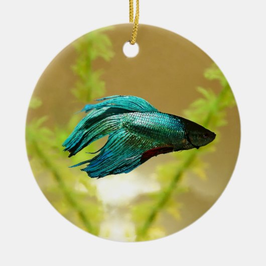 Betta ist besser ursprünglich keramik ornament (Vorne)