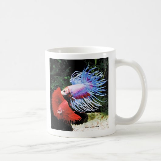 Betta Kaffeetasse (Rechts)